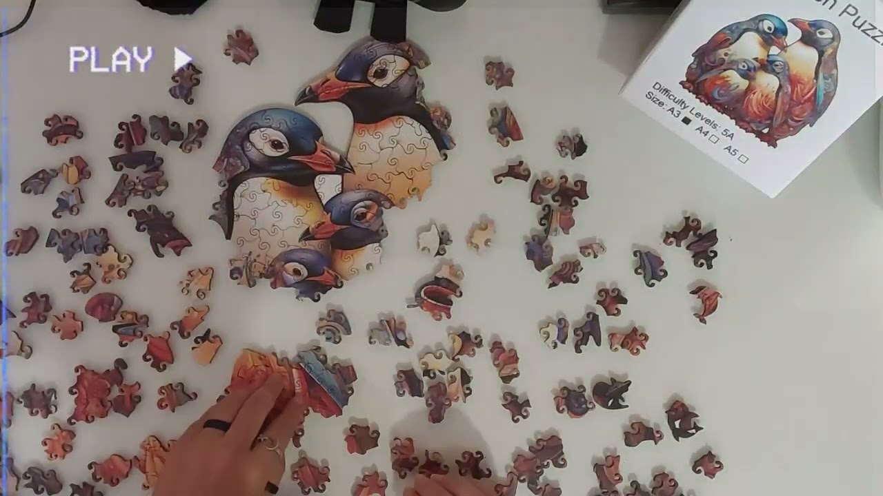Puzzle of the Day: Penguin