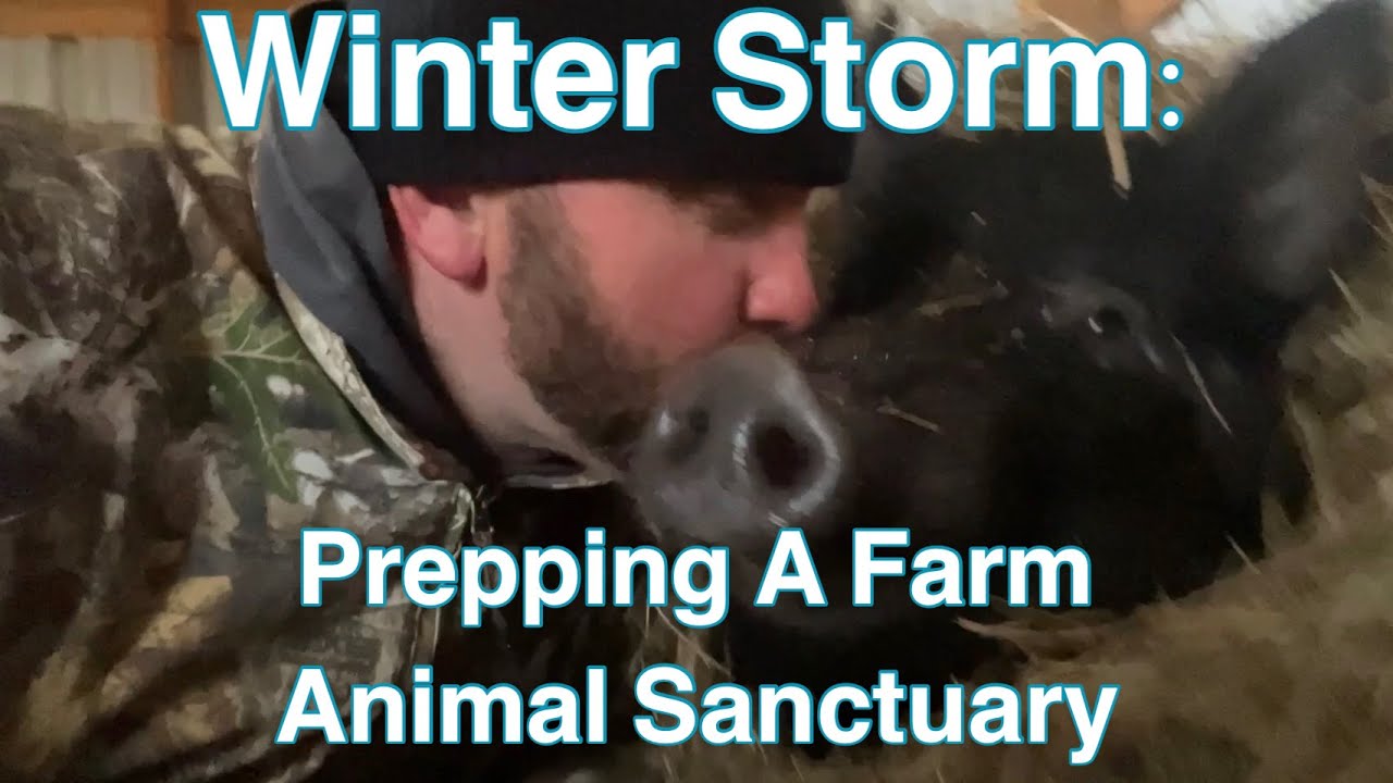 Winter Storm: Prepping An Animal Sanctuary