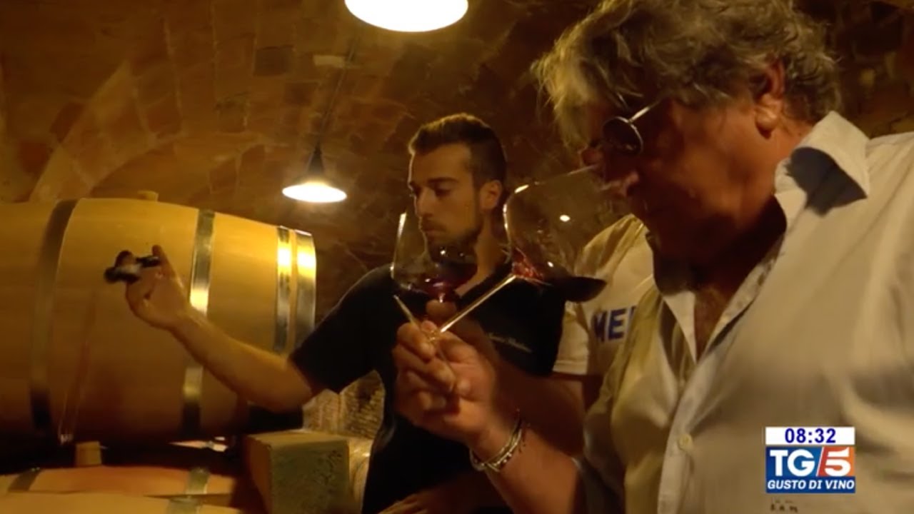 Stefano Antonucci al TG5 - Ispirazioni francesi