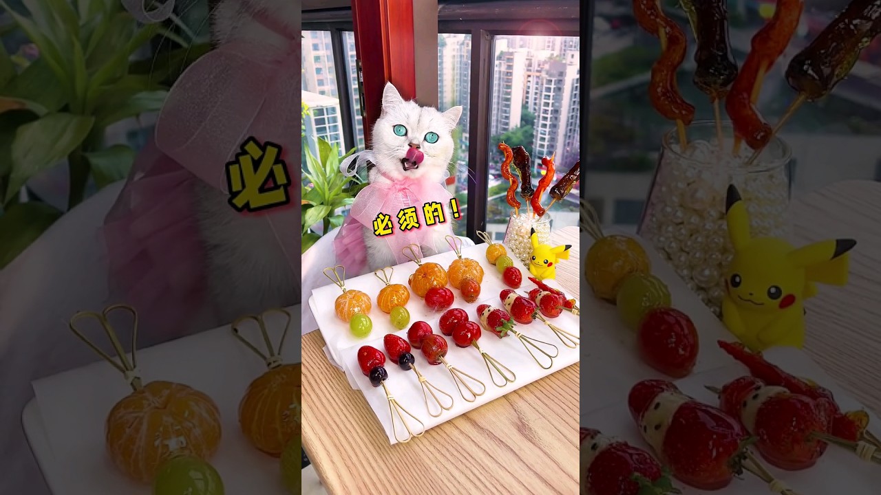 Chef Cat | Cat teaches you how to make Sugar-coated haws #CatMakeFood