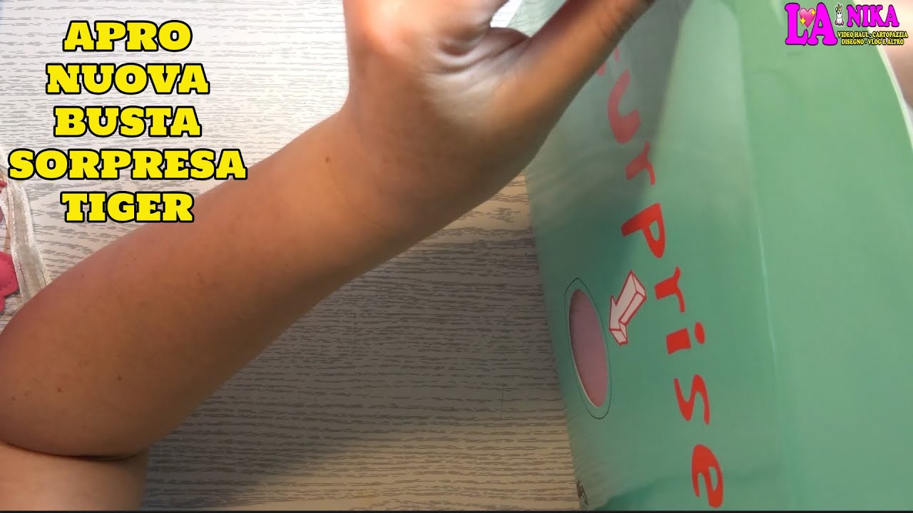 COSA NASCONDE QUESTA NUOVA BUSTA SORPRESA di Tiger? By Nika
