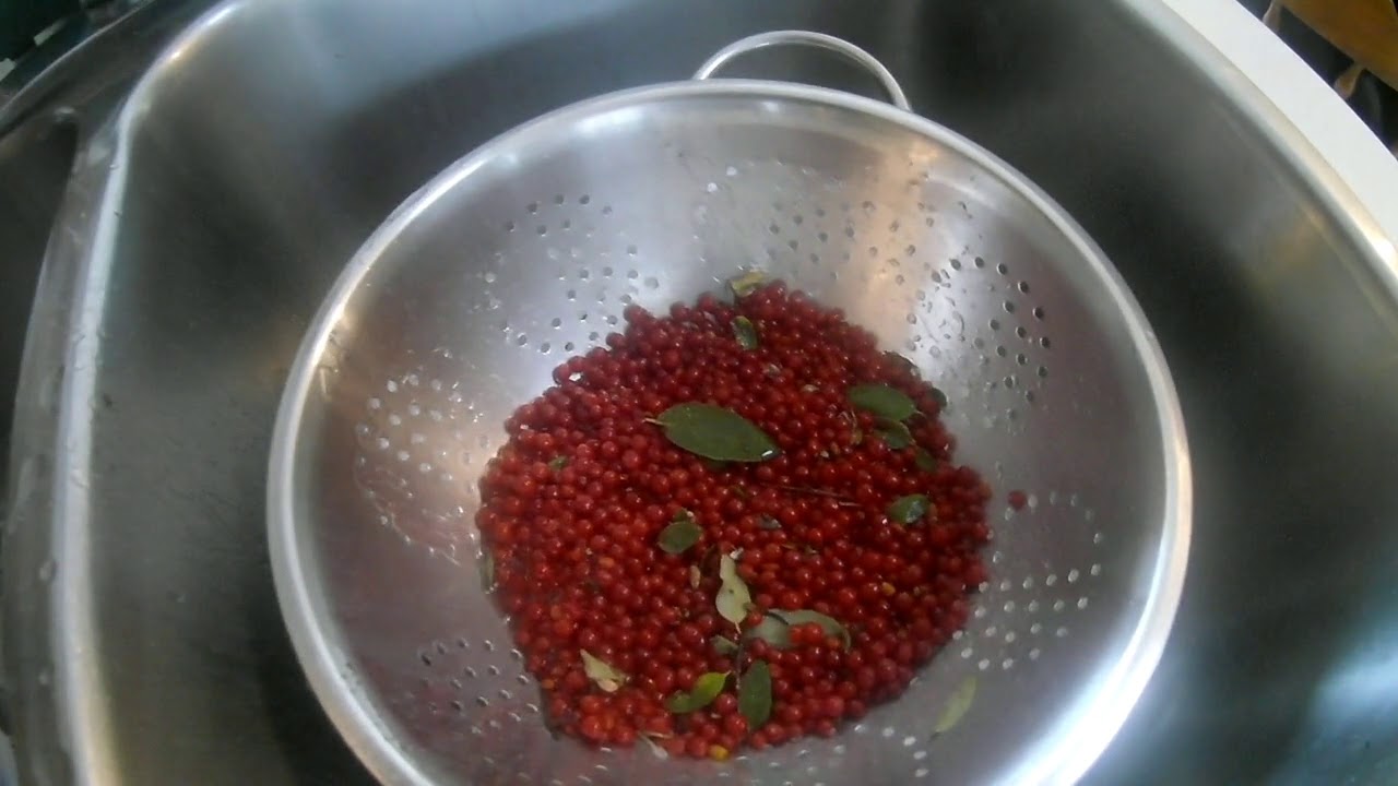 Foraging Soapberries
