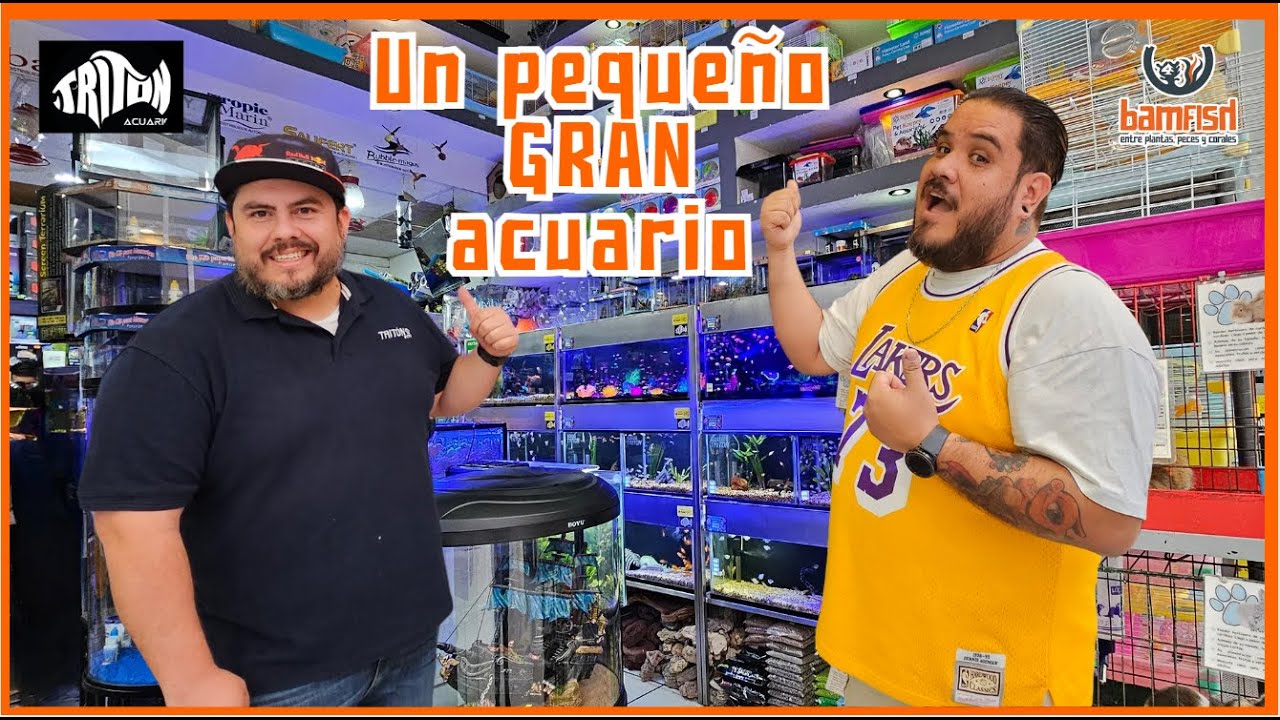 Vamos a uno de los Acuarios más antiguos de Guadalajara