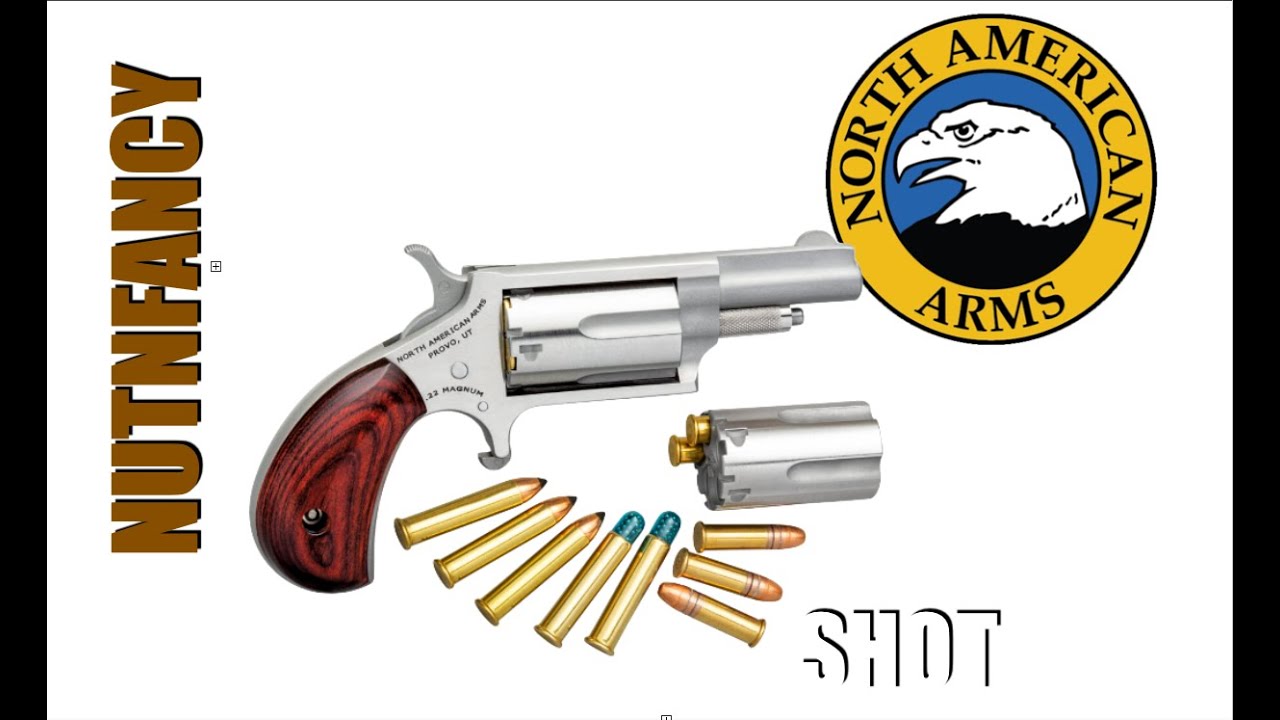 Tiniest of Carry: North American Arms Update