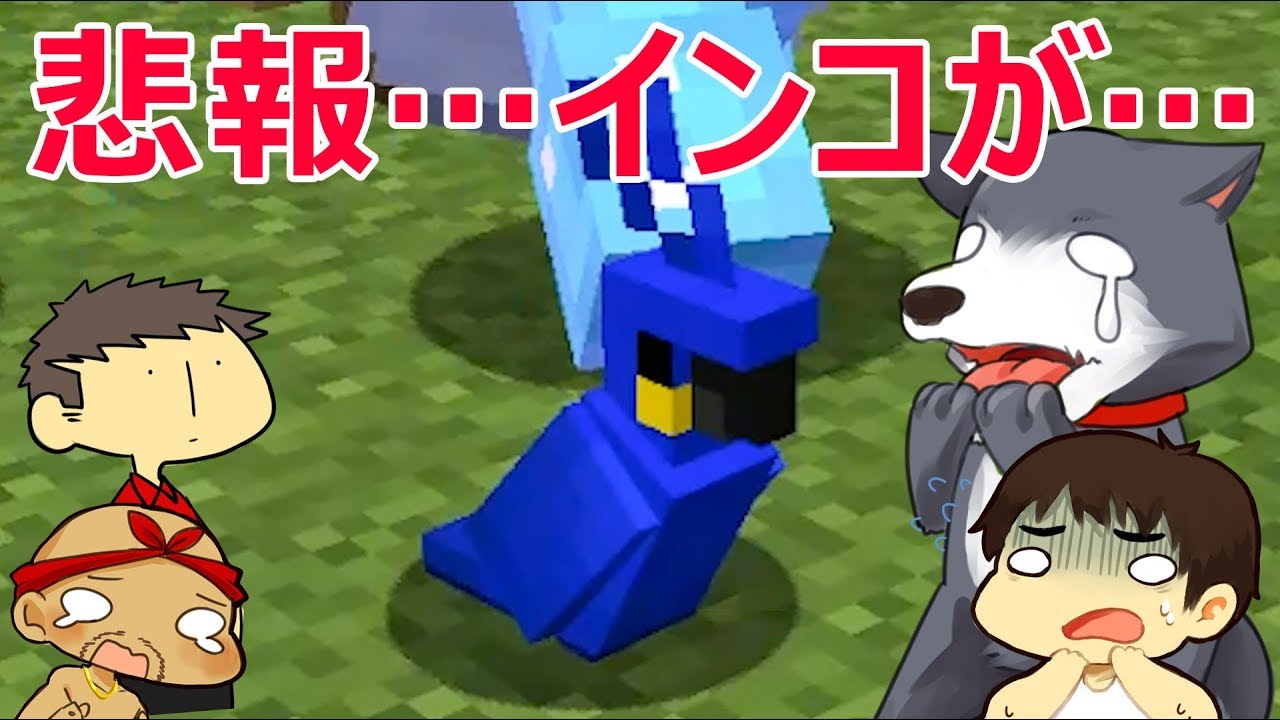 【カズぽこくら】悲報…よしさんのオウムが…Part61 後編