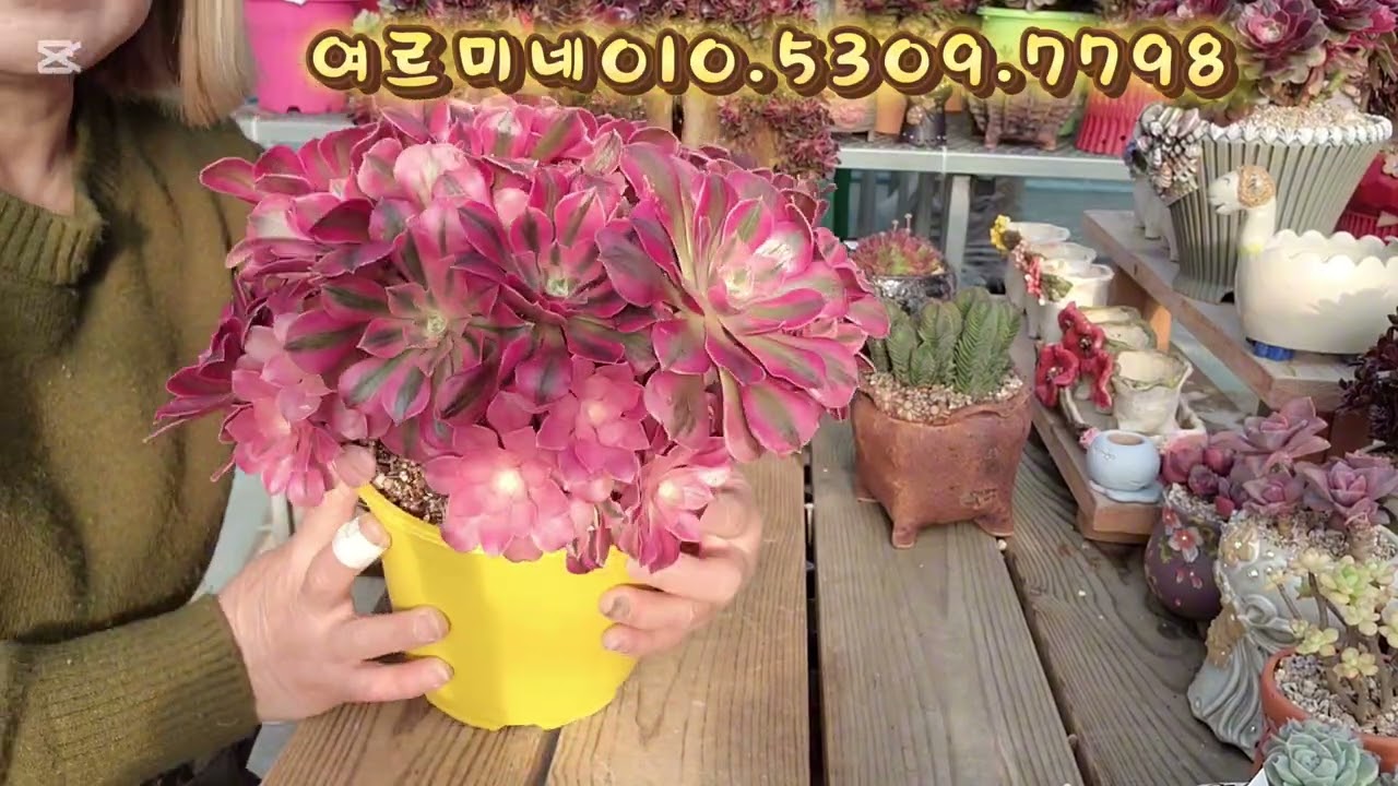 2026년 2월 28일