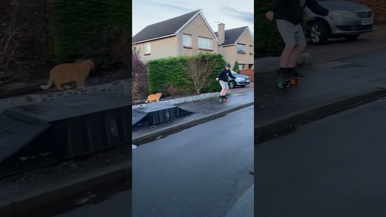 Freeskates on Ramps.                   #freeskates #jmkride