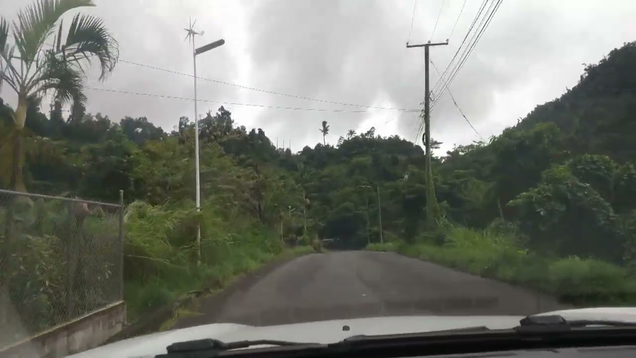 Dominica interior drive
