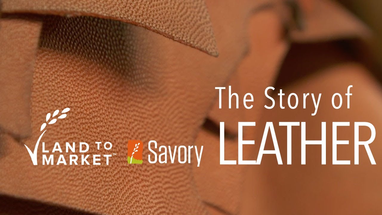 The Story of Leather | Regenerative Agriculture Documentary