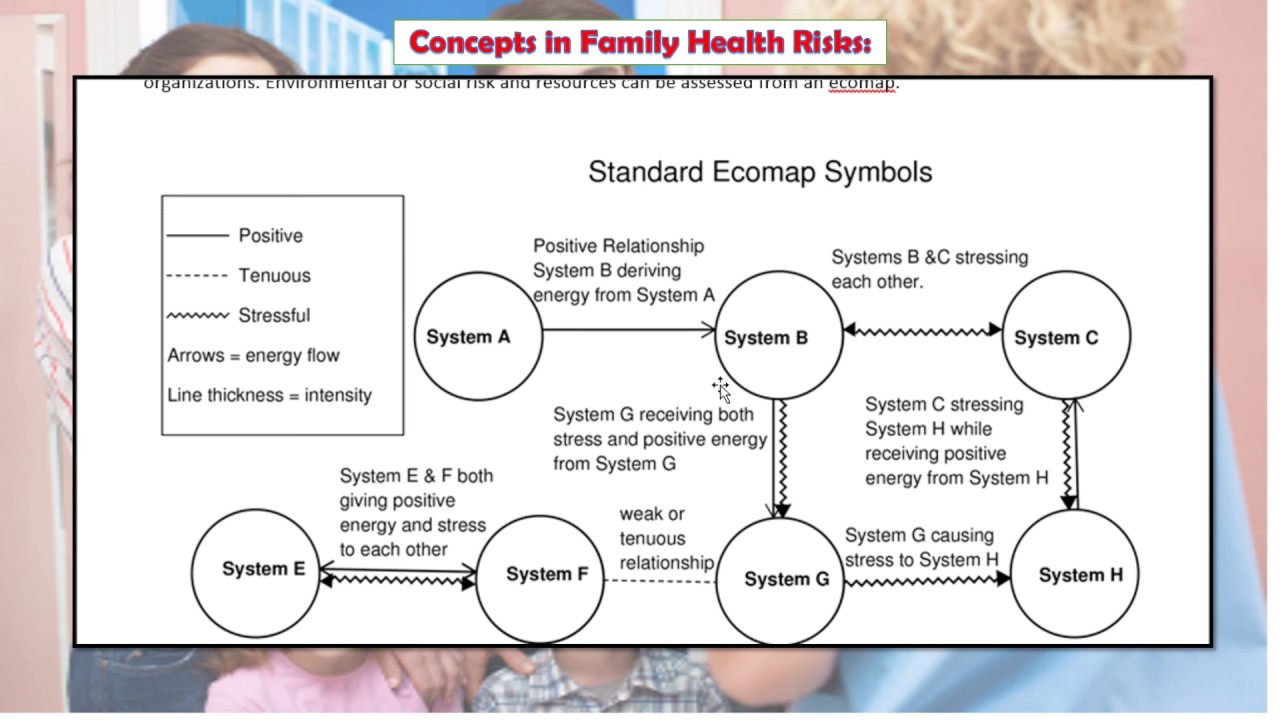 W5 L2  Family Health Risks & Risks Across the Lifespan