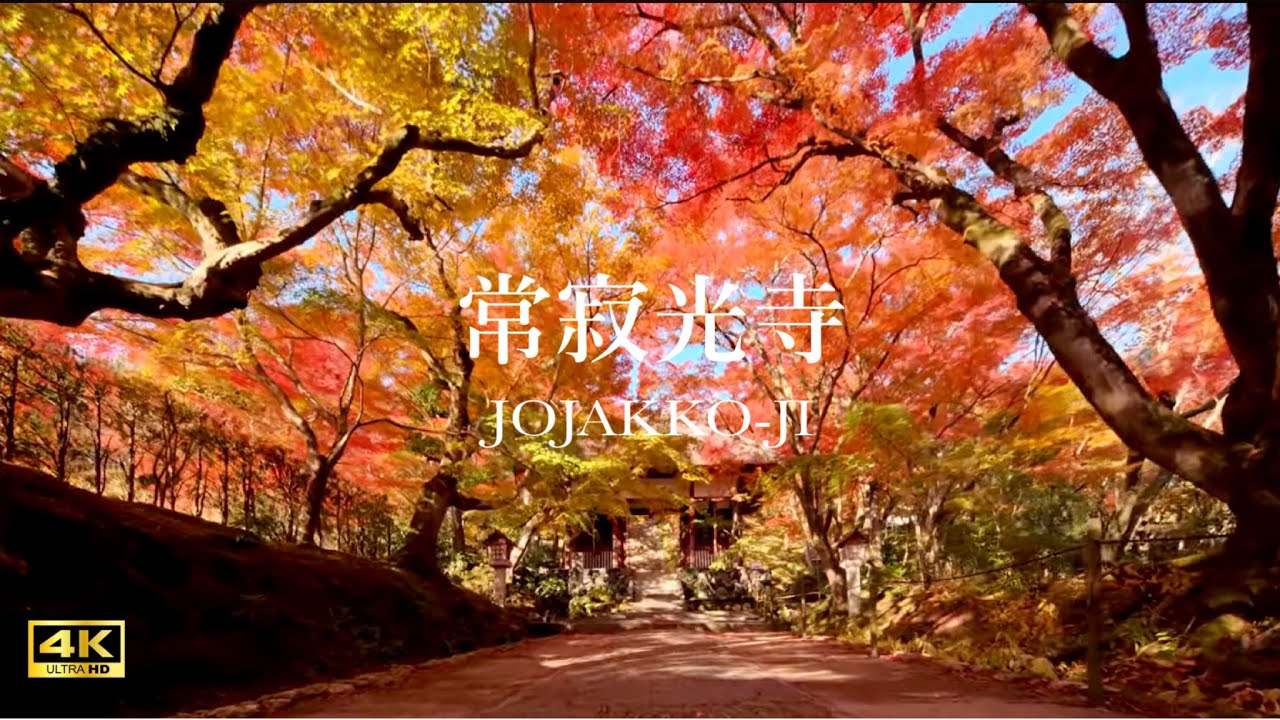 京都の紅葉　常寂光寺