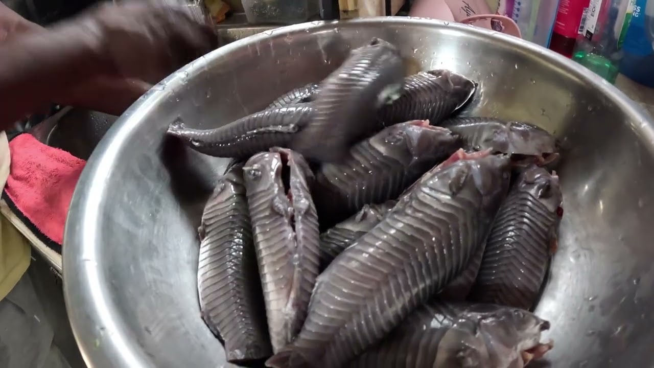 STUFFED HASSAR, STEP BY STEP COOKING!