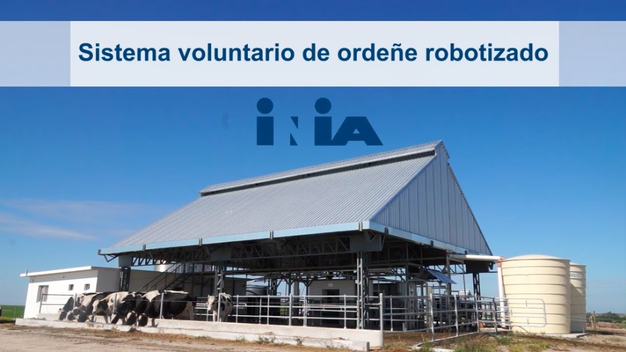 Sistema voluntario de ordeñe robotizado