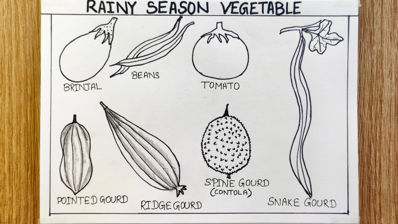 Rainy season vegetables drawing | Vegetables drawing | Easy vegetables drawing for kids