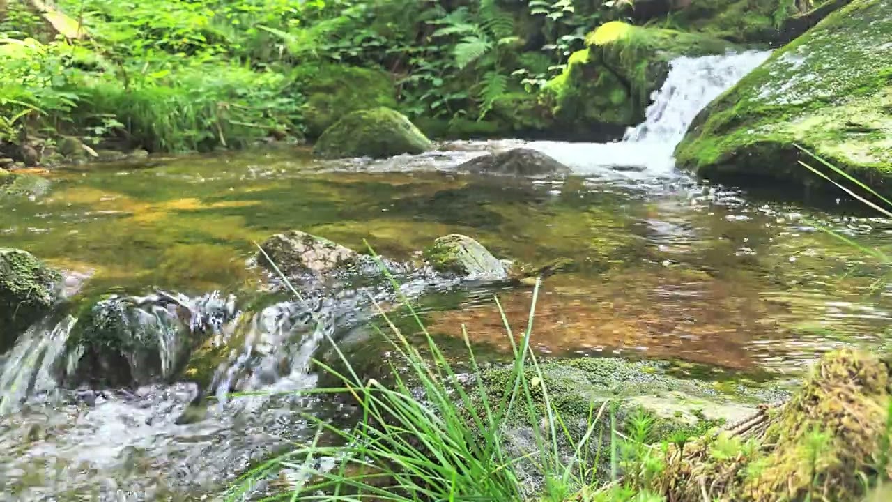 Nature Sounds – Mountain Stream in 4K 60 FPS | Relax, Focus, Sleep