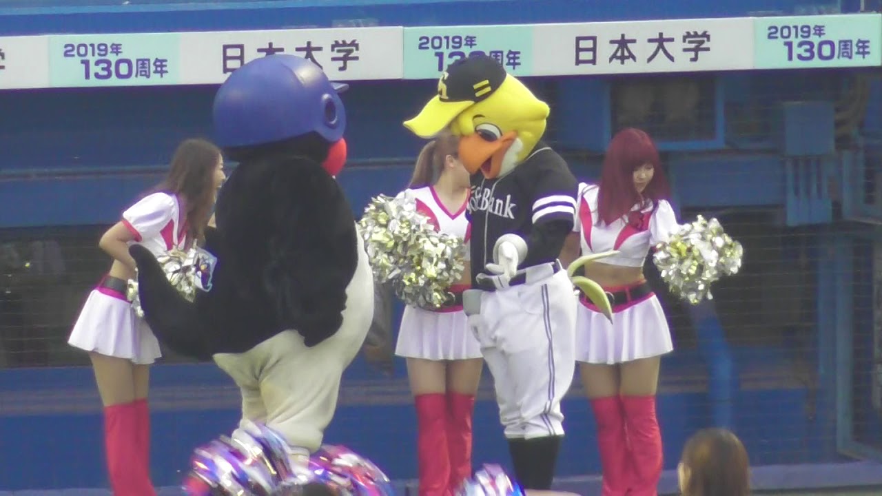つば九郎＆ハリーホークで We are the Swallows  2019.06.20 プロ野球交流戦 ヤクルトスワローズvsソフトバンクホークス