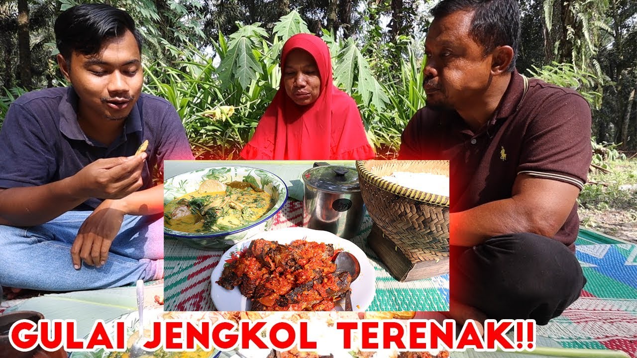 LEZAT SEKALI! GULAI JENGKOL PUCUK UBI + IKAN LELE SAMBEL MERAH!!