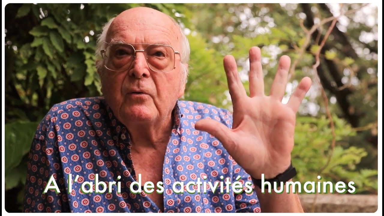 hommage à Francis Hallé : A l'abri des activités humaines - (documentaire de Gwarr GREFF)