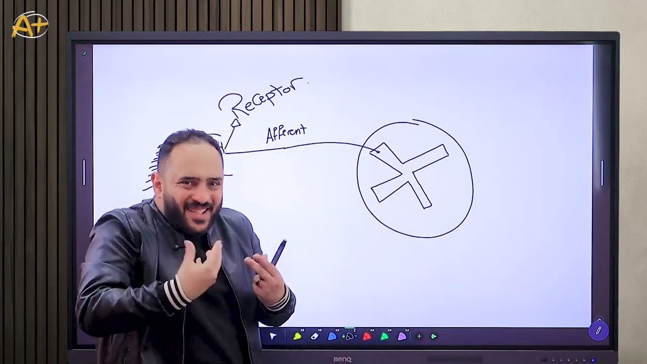 Physiology 4 (علاج طبيعي اكتوبر )