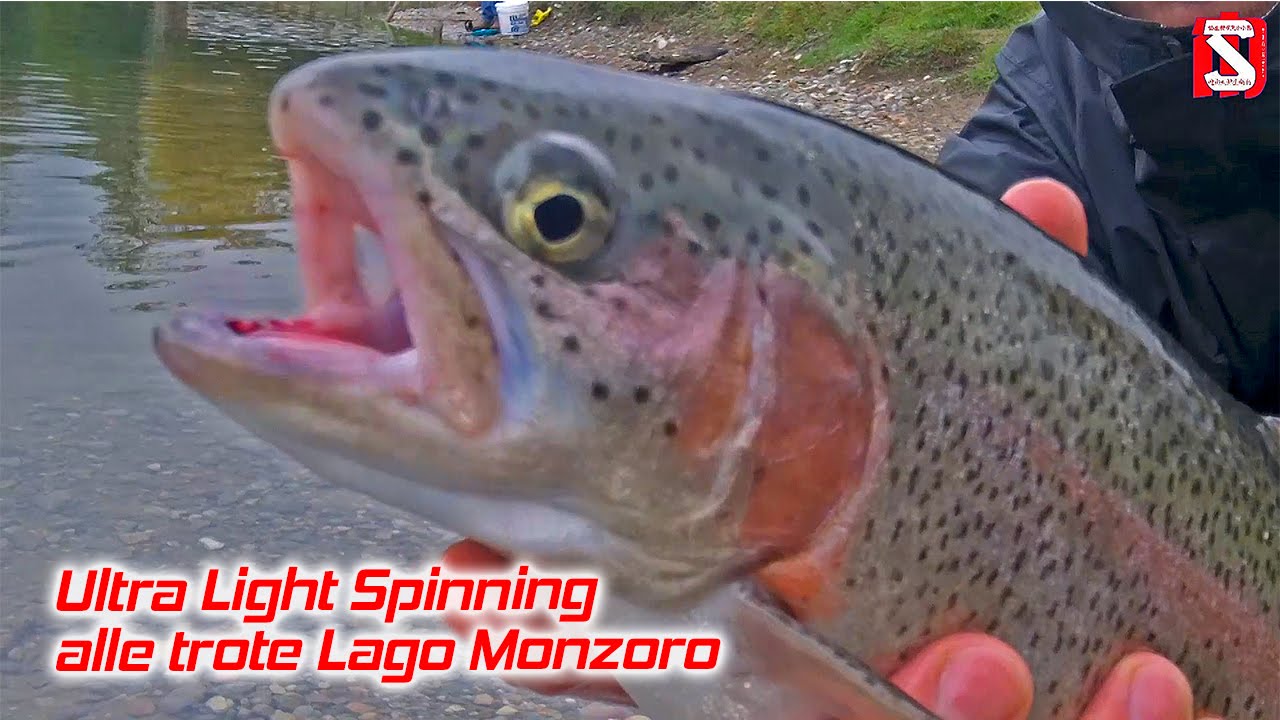 Ultralight Spinning alle trote Lago Monzoro - Ultralight Spinning Trout in cave