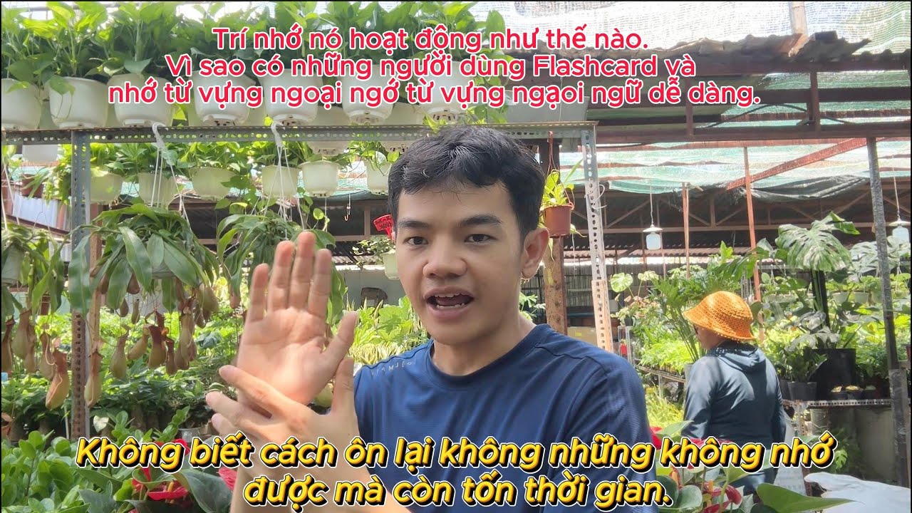 Học chữ Hán hay Kanji, từ vựng các thứ thì chia nó ra các nhóm để học nè.