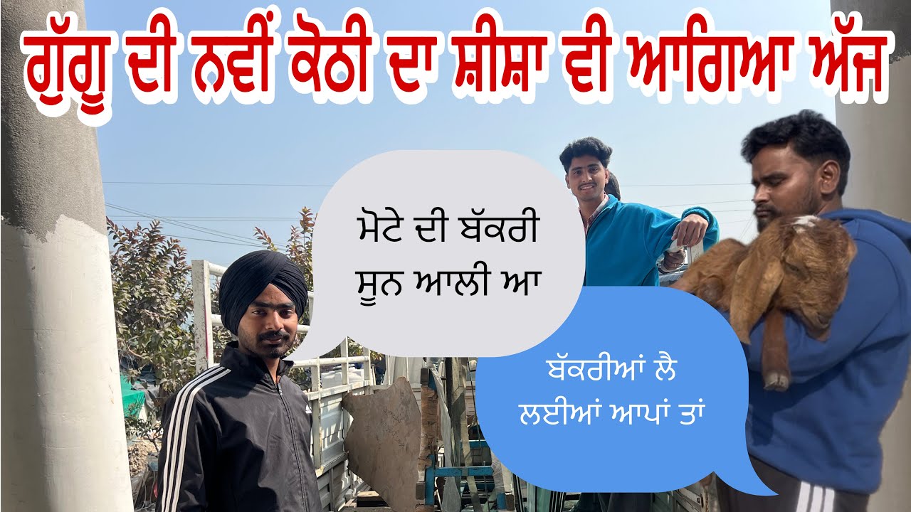ਮੋਟਾ ਖ਼ਰੀਦ ਕੇ ਲੈ ਕੇ ਆਇਆ ਬੱਕਰਾ ਤੇ ਬੱਕਰੀ। motta lai k aya bakra te bakri bhen hoyi gusse 