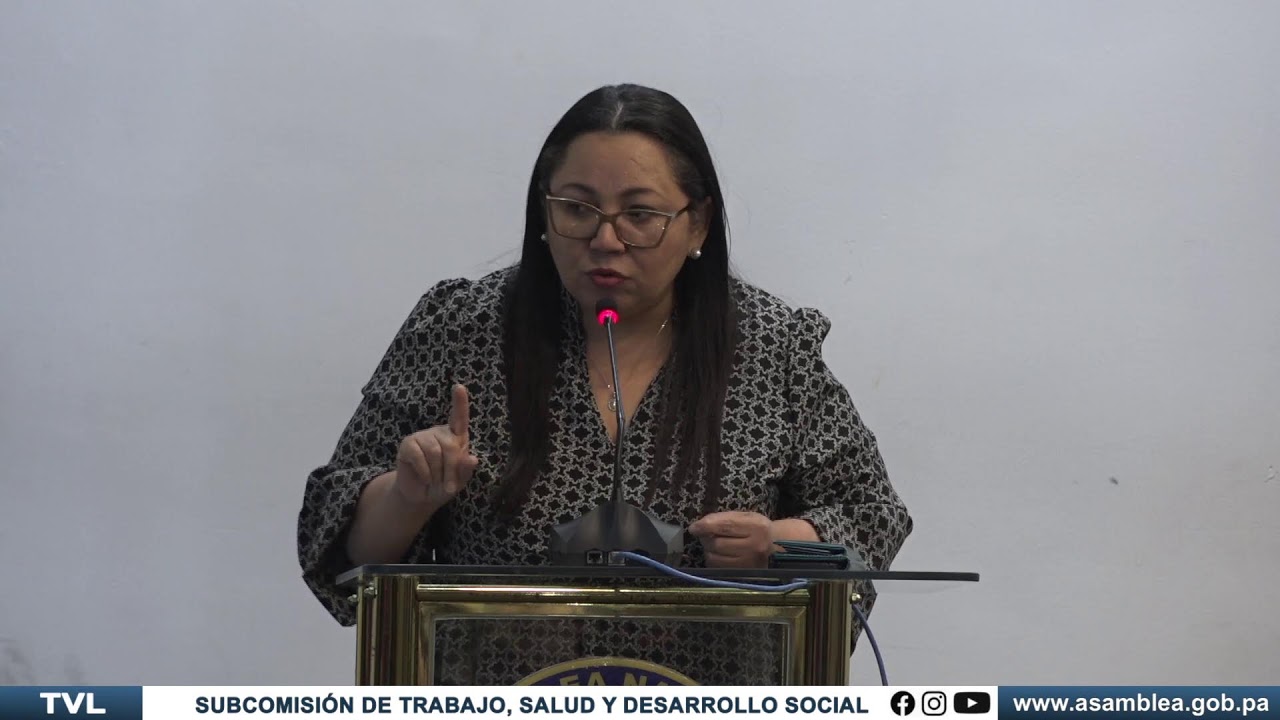 SUBCOMISION TRABAJO, SALUD Y DESARROLLO SOCIAL