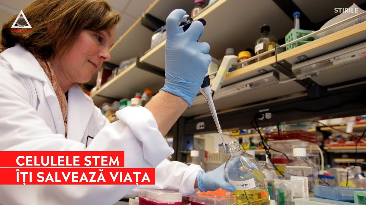 Transplantul de celule stem salvează vieți, &icirc;nsă pacienții găsesc cu greu un donator compatibil