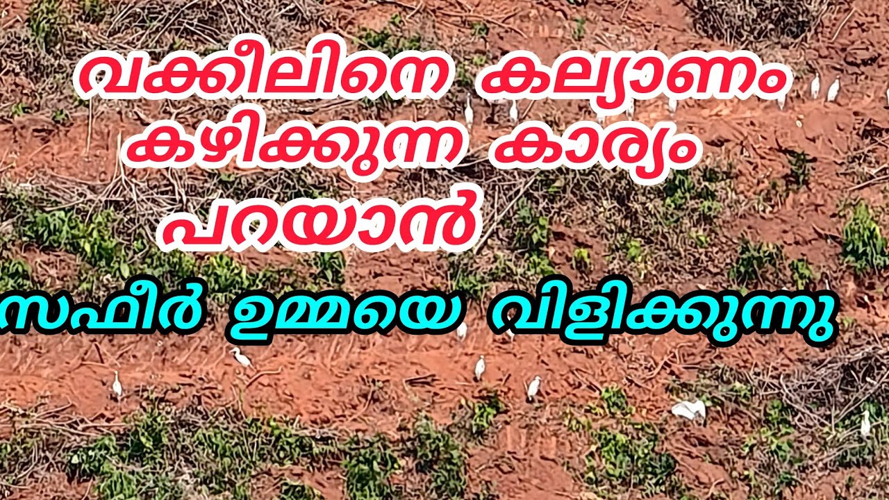 നിക്കാഹിന്റെ കാര്യം പറയാൻ സഫീർ ഉമ്മയെ വിളിക്കുന്നു😳ഇനി എന്തൊക്കെ സംഭവിക്കും#ente usthad 