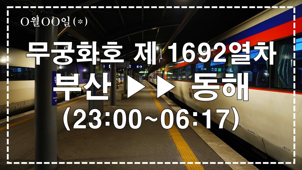【야간열차】 영동선 무궁화호 1692 부산-동해 주행영상