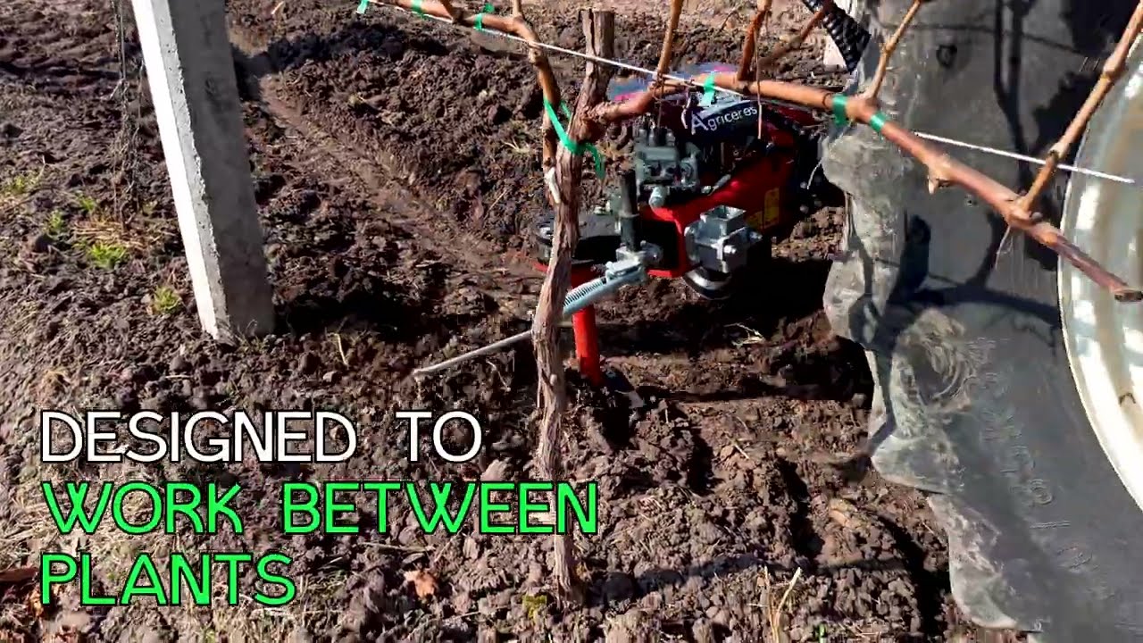 Inter-Row Weeder Model IT15-Blade Option