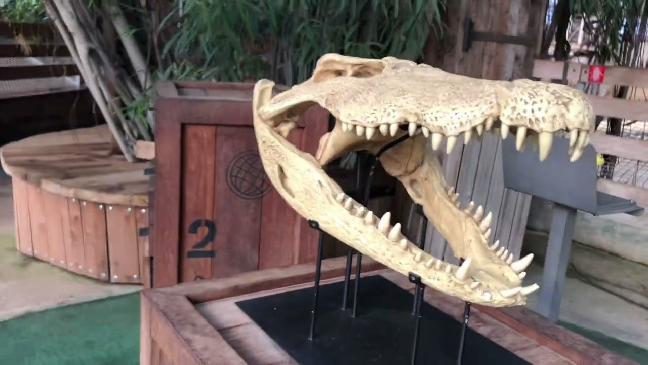 La Ferme Aux  Crocodiles part -2 @pierrelatte/bourgeois family vlog