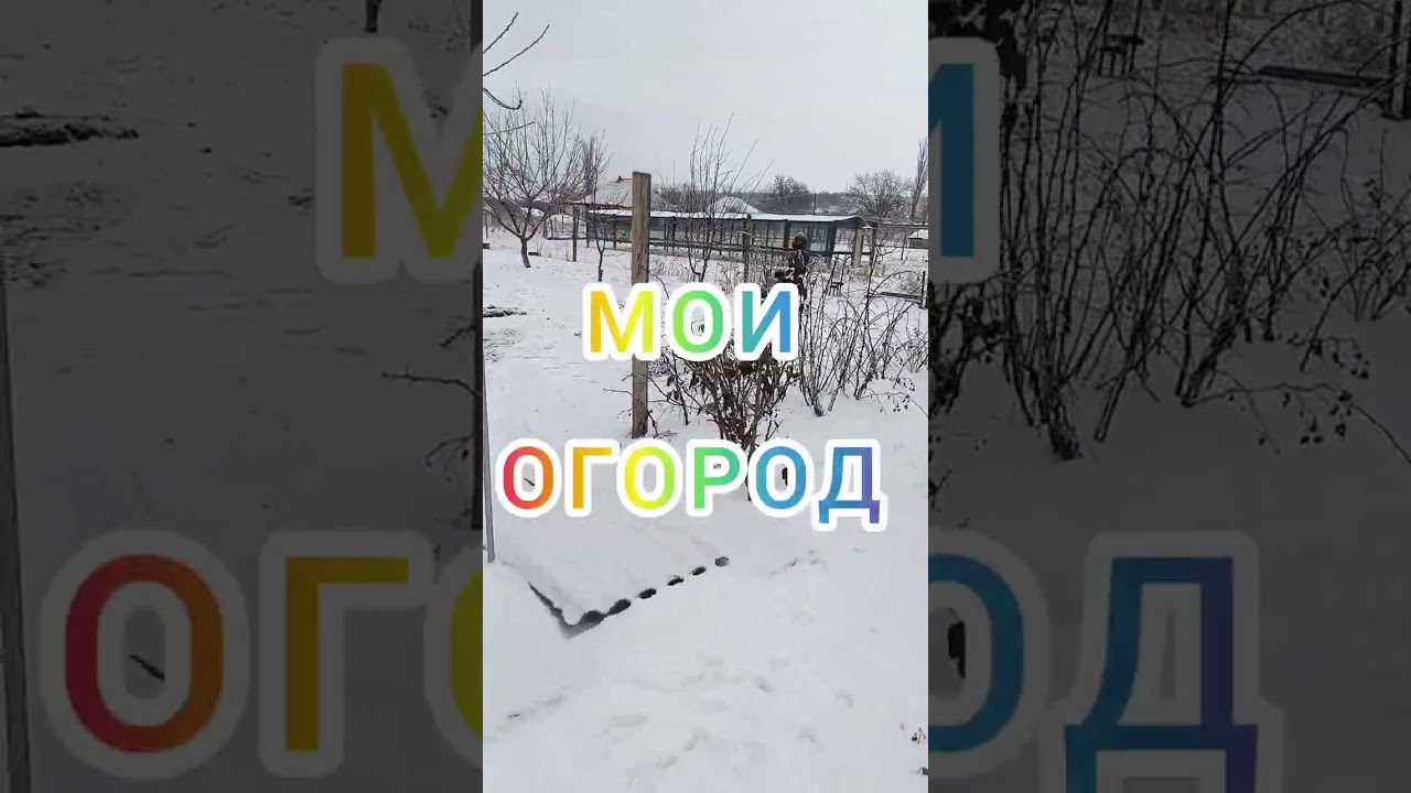 МОЯ БИОГРАФИЯ, МОЯ ЖИЗНЬ В СЕЛЕ!
