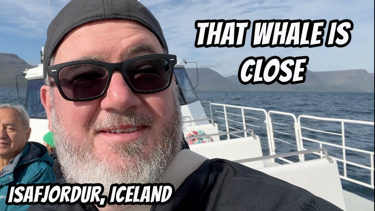 Up Close with Whales in Isafjordur, Iceland