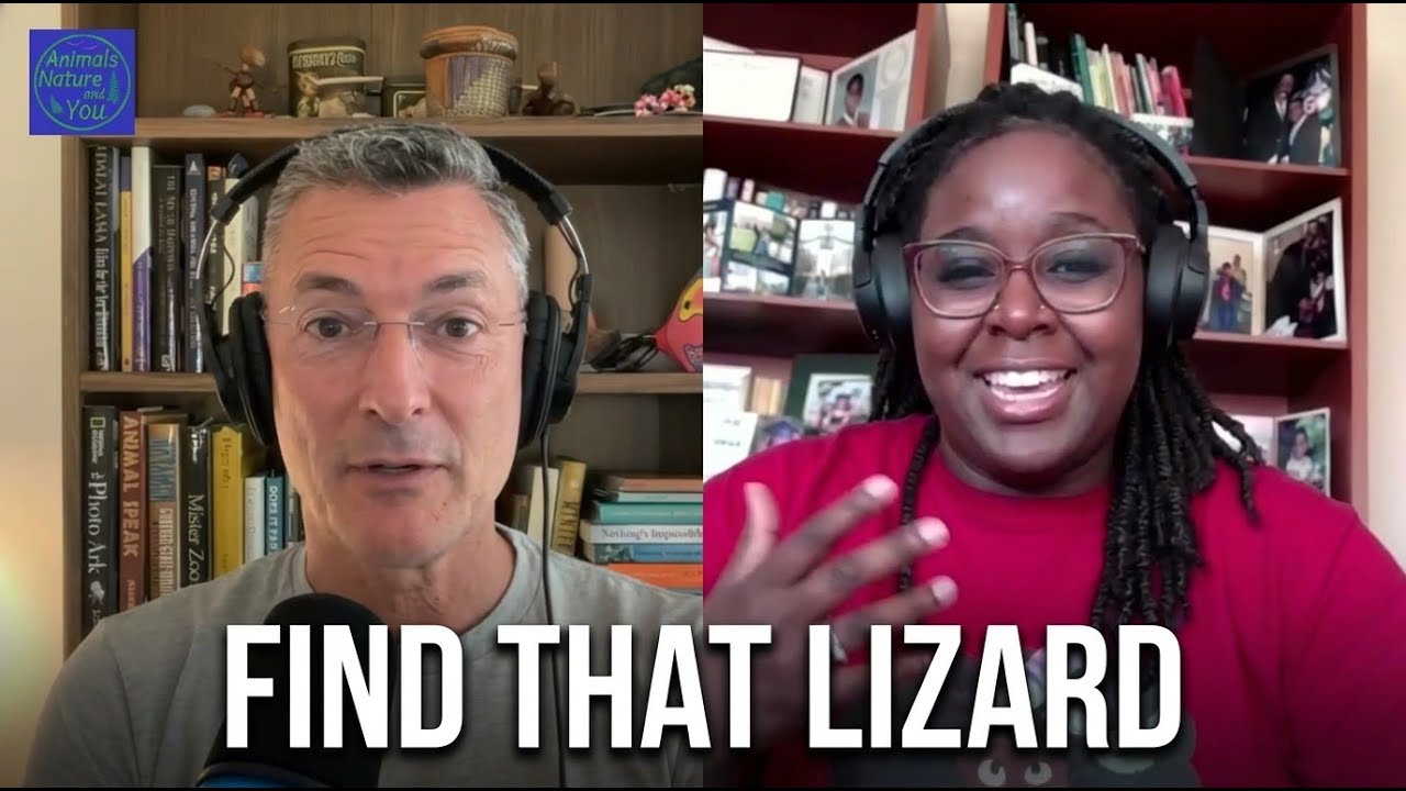 The Story Behind Find That Lizard - A Conversation with Dr. McGee