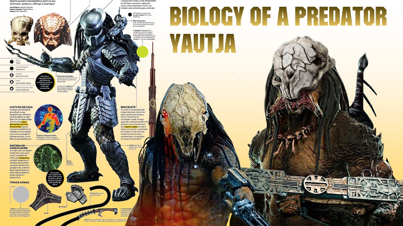 Origins, Biology And Life Cycle Of A Predator (Yautja)
