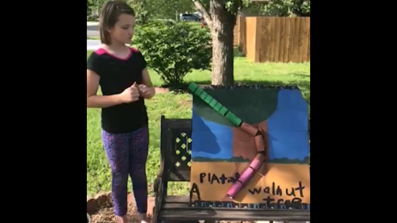 Ball Run STEM Challenge