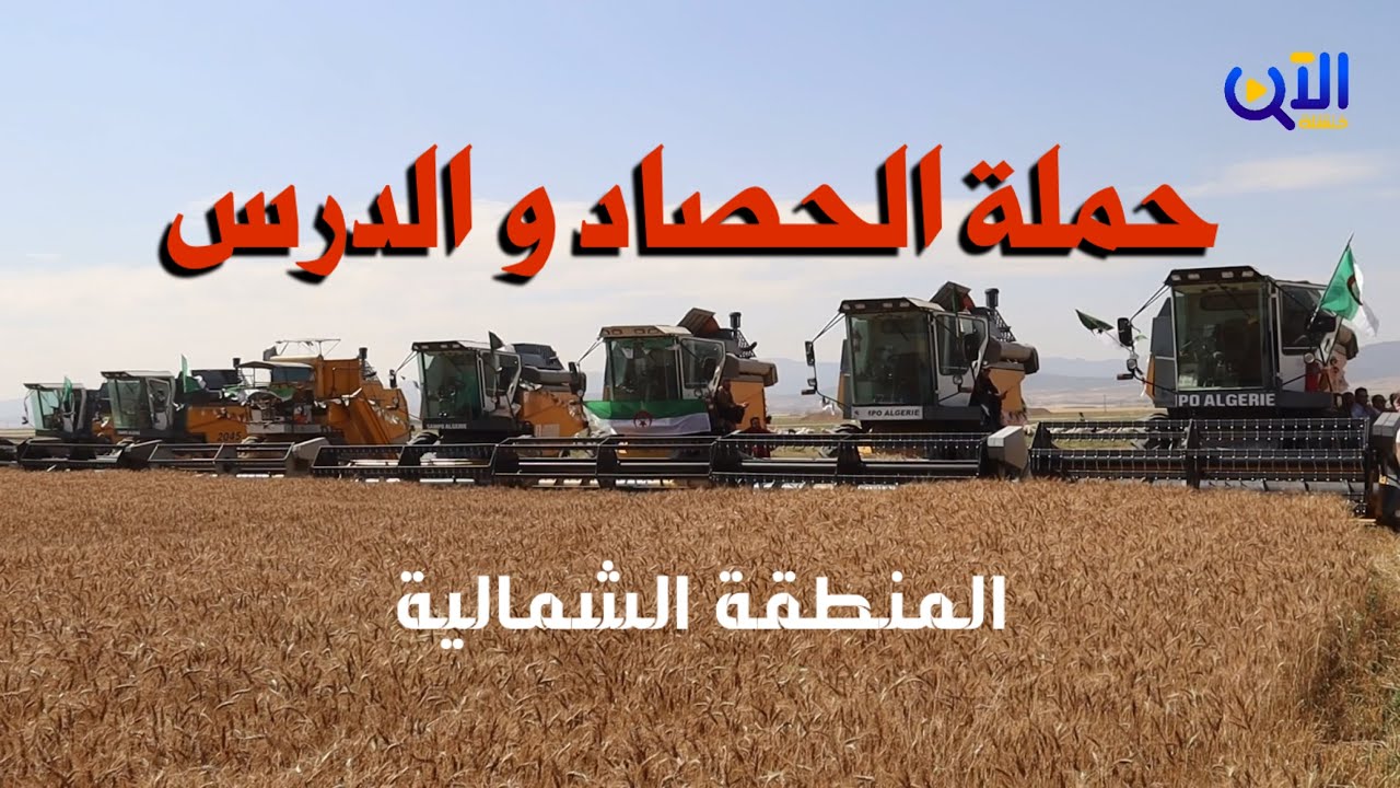 🔴 خنشلة | إنطلاق حملة الحصاد والدرس ... إنتاج مرتقب يعزّز تَوَجُّه الدولة نحو الإكتفاء الذاتي