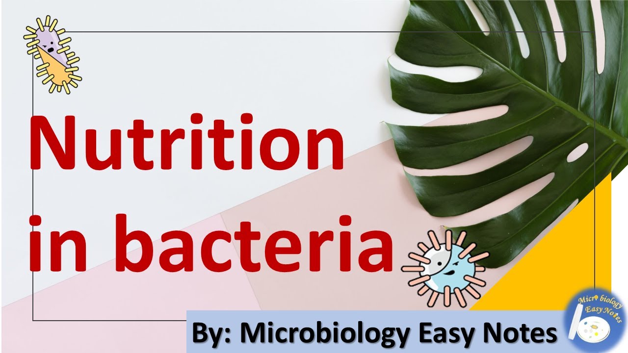 Microbiology easy notes on nutrition in bacteria