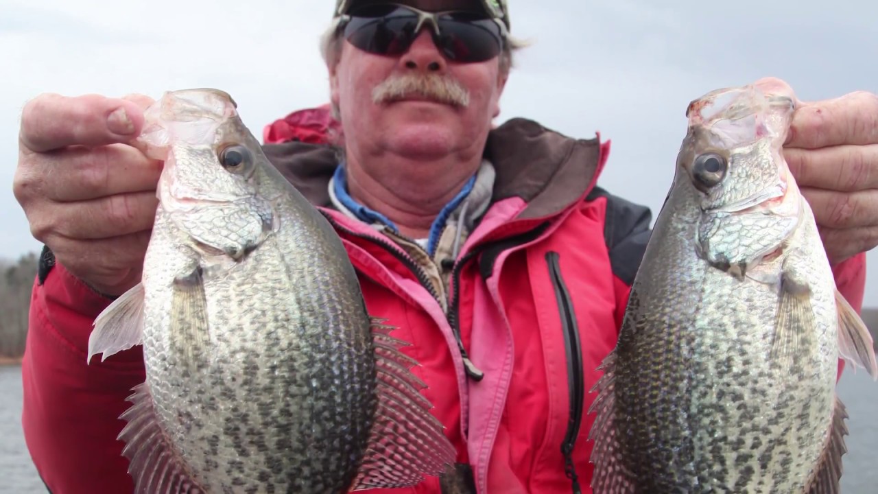 Catching Crappies on Kerr Lake | Carolina ALL OUT | S-1 Ep/5