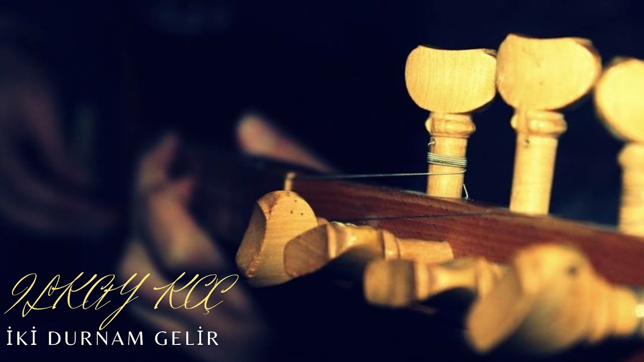 İki Durnam Gelir-İlkay Koç