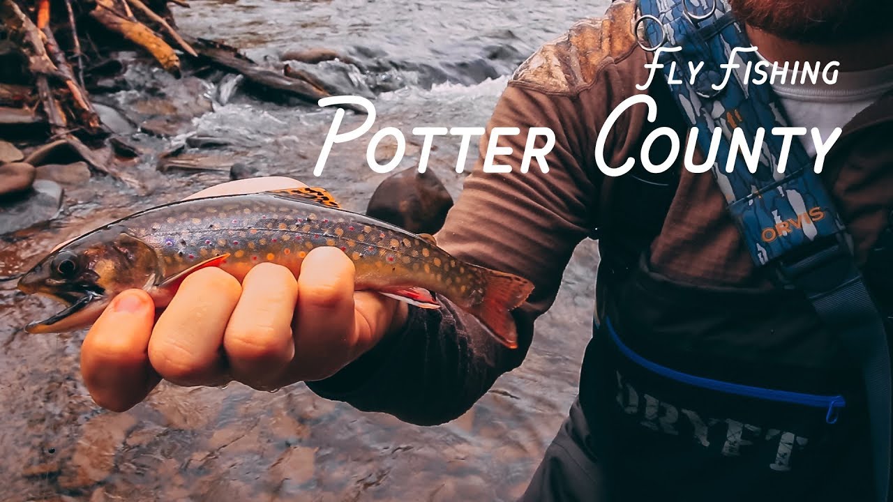 Fly Fishing for Brookies | Potter County, PA