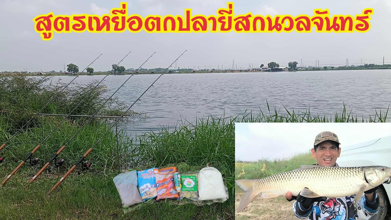 สูตรเหยื่อตกปลายี่สก‼️ ปลานวลจันทร์ ‼️บ่อเหมา ผสมที่หมายตกได้เลยไม่ต้องหมักให้เสียเวลา🐟🐟🐟
