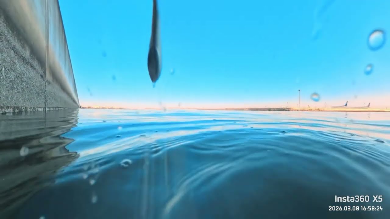 【水中映像】20260308 京浜島つばさ公園