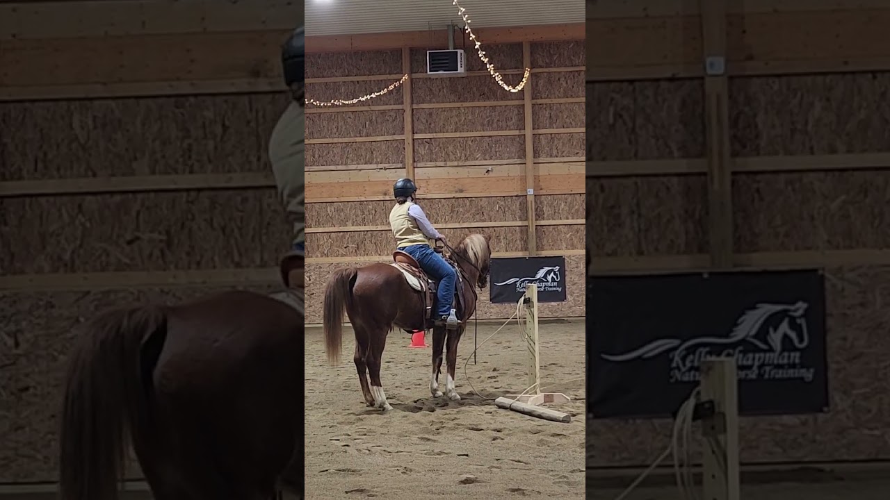 Ranch Trail with MTC Padreno 2013 PB Arabian