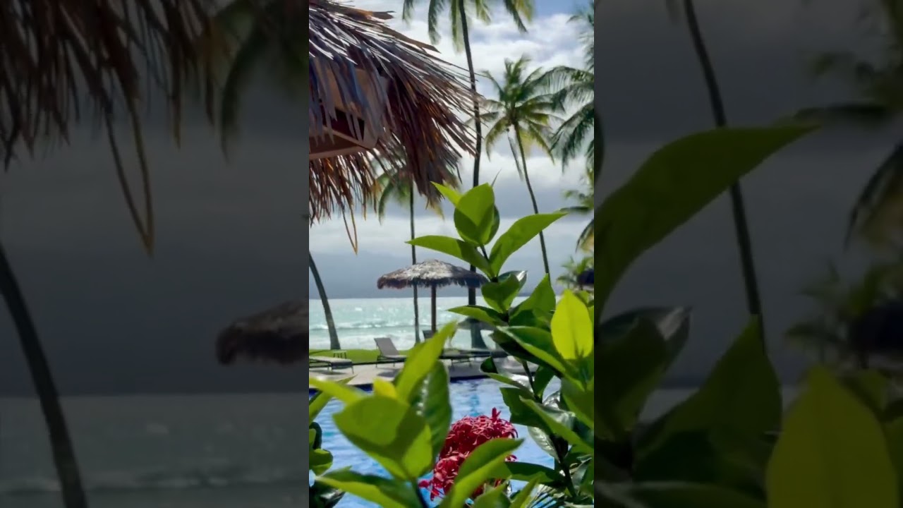 Le Gosier Guadeloupe 🇬🇵 h&ocirc;tel fleur d &eacute;p&eacute;e #guadeloupe #holiday #travel #vacation #resort