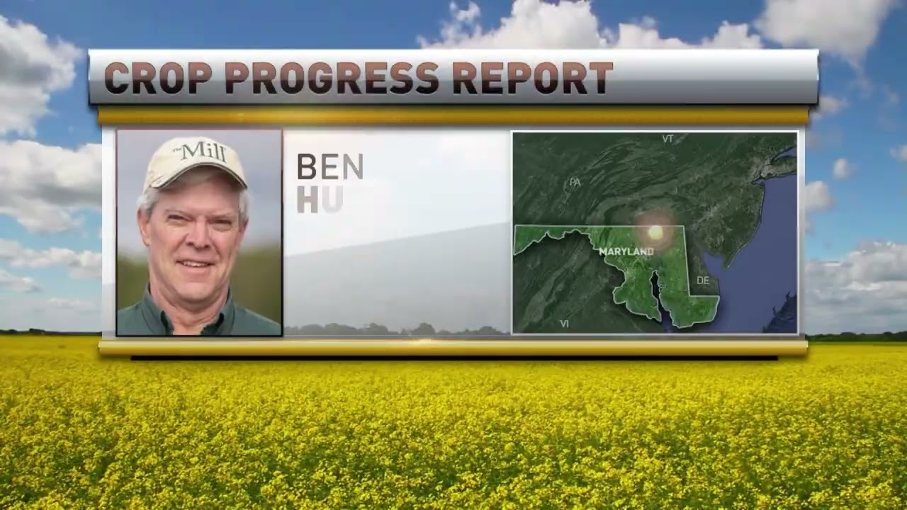 WASDE Preview, Grain Markets & Farm Show Takeaways | Market Day Report with Ben Hushon