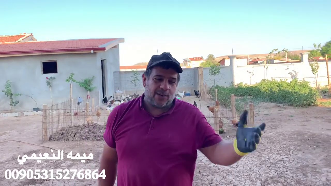 بما ان انفتح الطريق بين العراق وتركيا🇹🇷راح نحجيلكم اتعابنه شكد🌸وشكد تكلف الاقامه والتجديد وعملنه