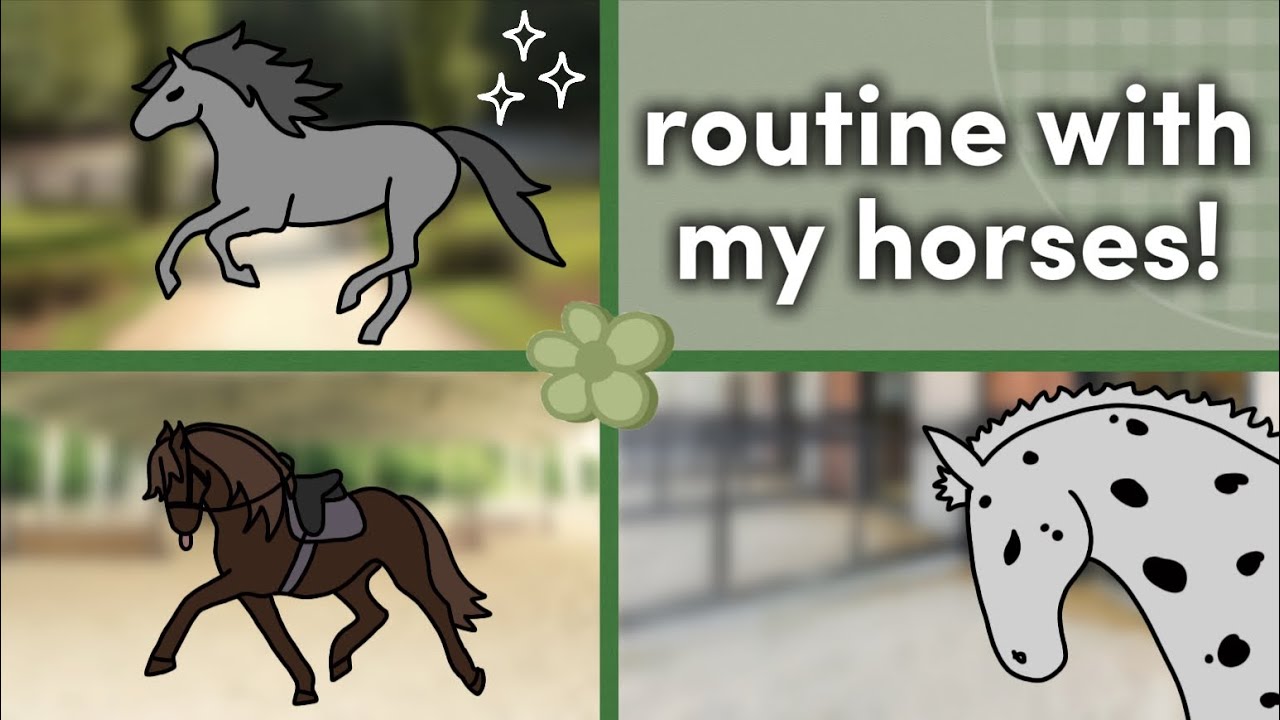  𖦹°⋆ | my routine at the barn! ( training, ponies and more! x ) | ┈ᯓ★๋࣭⭑| ˙⋆✮ | 🌙 | #wildhorseisland