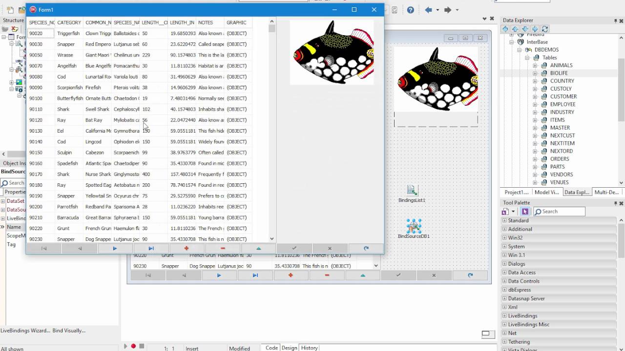 Using LiveBinding in VCL Applications